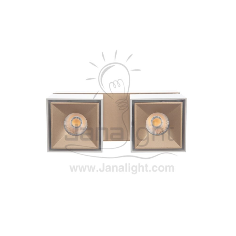 سبوت لايت سلندر 24 وات مجوز ابيض وش شمباني وورم مربع متحرك AC85 2S cylinder downlight frame Square Double white- Champagne worm 24w